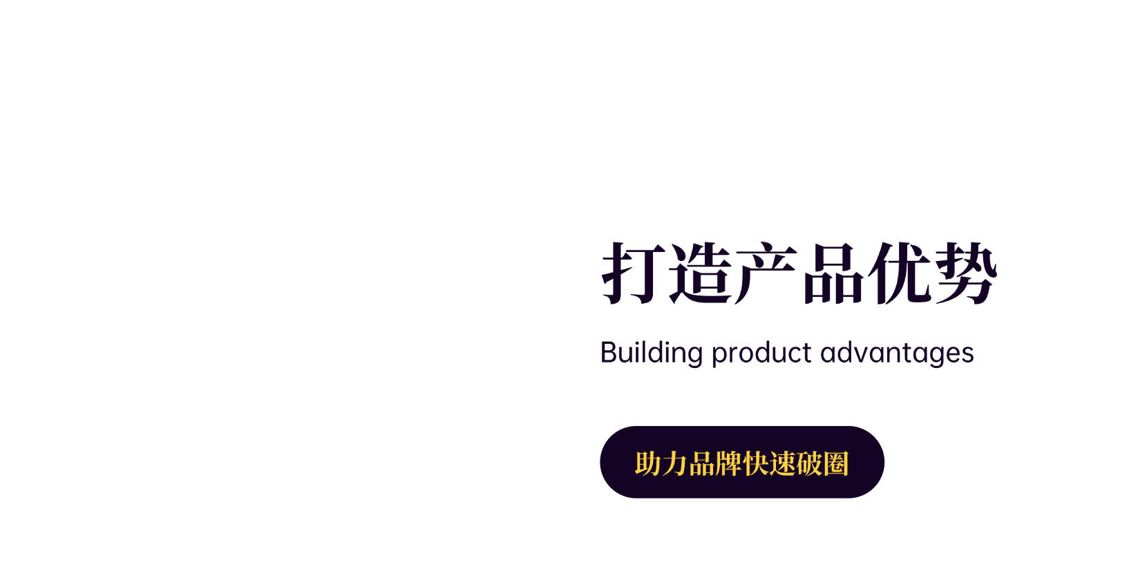 shinymarketing_build_product_adventage