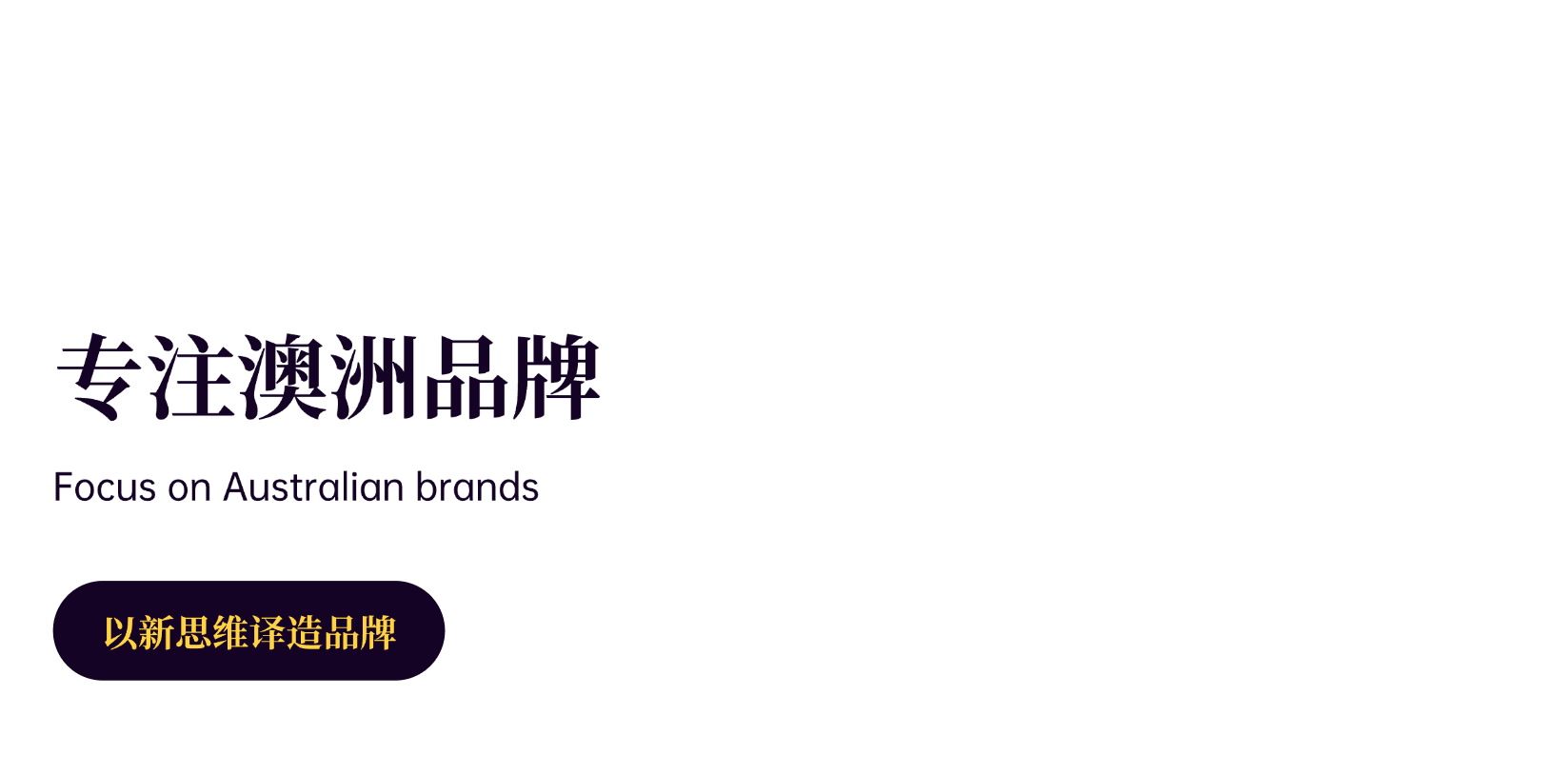 shinymarketing_focus_on_australian_brand